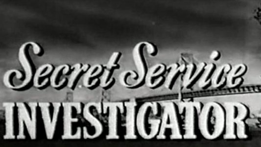 Secret Service Investigator