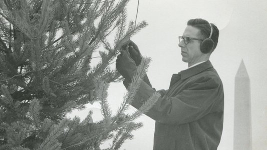 The National Christmas Tree, A Century of Celebration