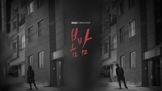 봄밤