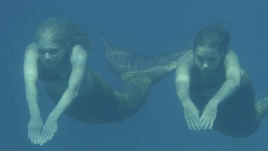 H2O: Just Add Water: Metamorphosis