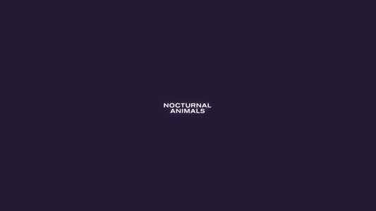 Nocturnal Animals