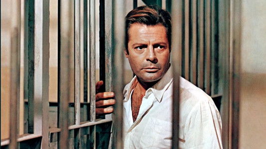 Marcello Mastroianni, irrésistiblement libre