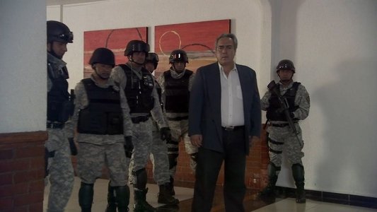 La banda de los bikinis rosas