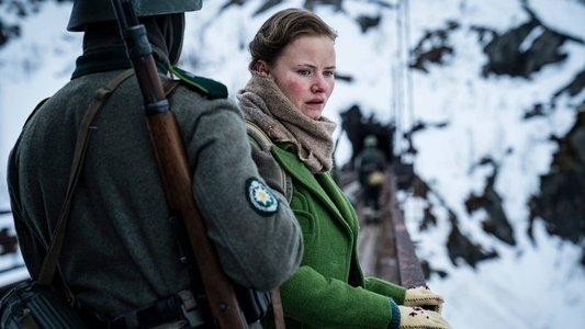 Kampen om Narvik