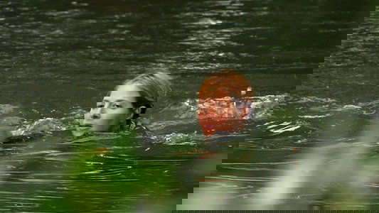 Wild Swimming