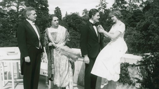 En vildfågel