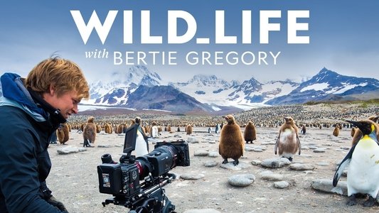 Wild Life with Bertie Gregory