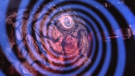 Journey to the Seventh Planet