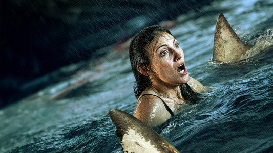 Shark Thrash