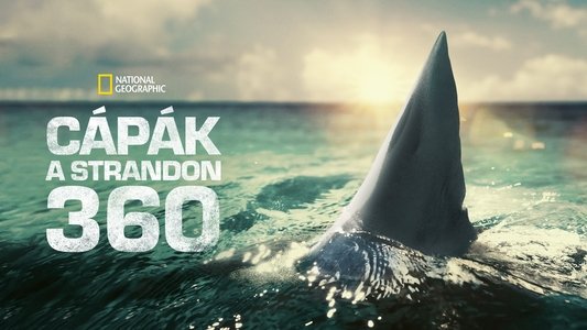 When Sharks Attack 360