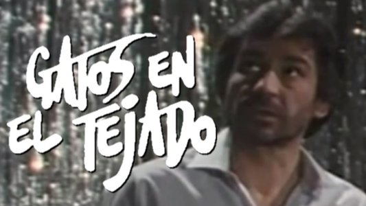 Gatos en el Tejado