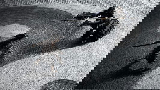 影