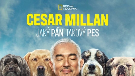 Cesar Millan: Better Human, Better Dog