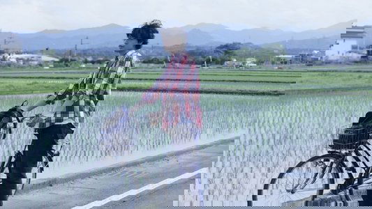 家族のレシピ