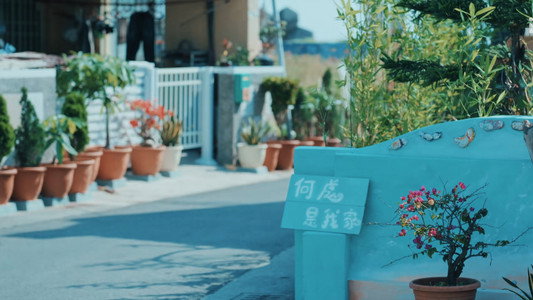 向流星許願的我們