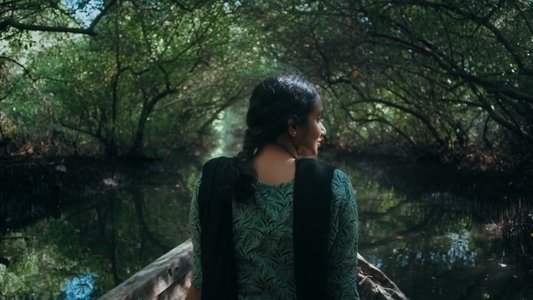 ആവാസ വ്യൂഹം