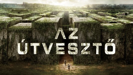 The Maze Runner