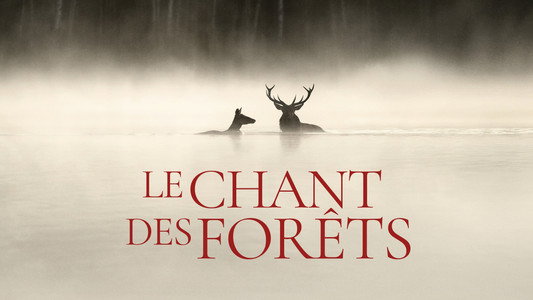 Le Chant des forêts