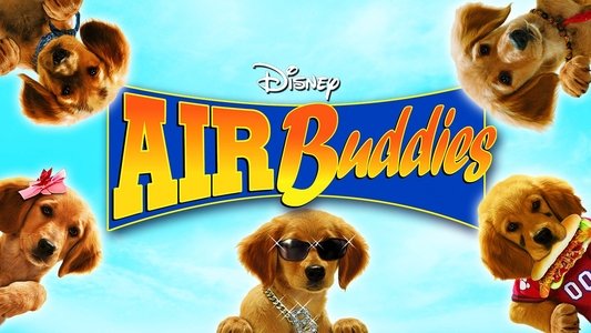 Air Buddies