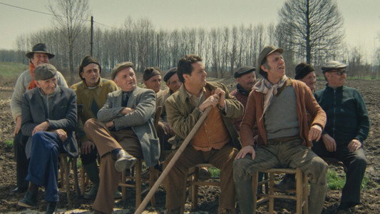Il ragazzo di campagna