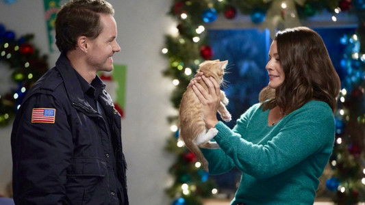 The Nine Kittens of Christmas