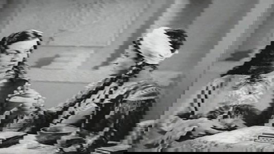 سلامة