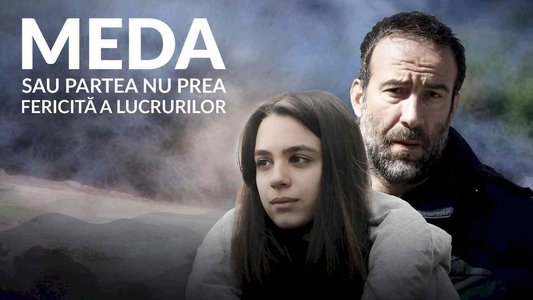 Meda sau partea nu prea fericită a lucrurilor