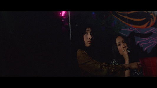 女番長　野良猫ロック