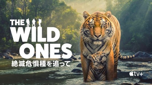 The Wild Ones