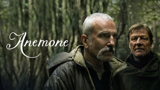 Anemone