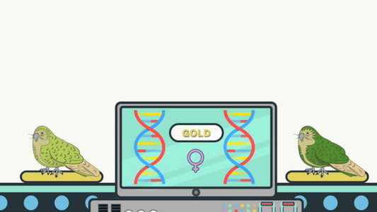 What if...? Genomics in Aotearoa