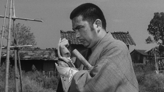 続・座頭市物語