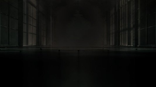 The Last Defense