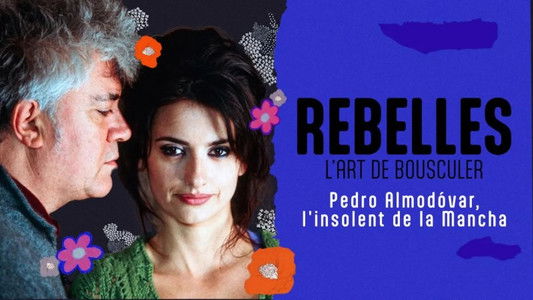 Almodóvar, l'insolent de la Mancha