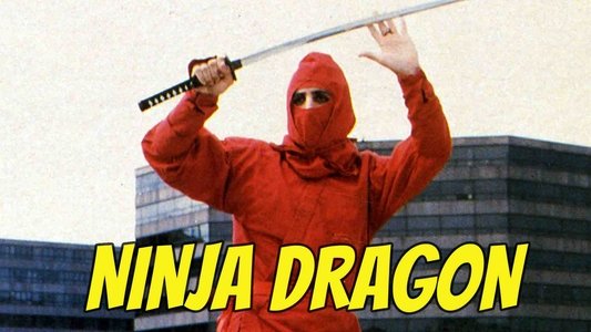 Ninja Dragon