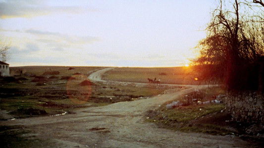 El espíritu de la colmena