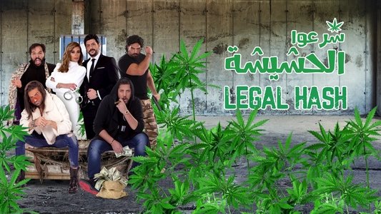 شرعوا الحشيشة