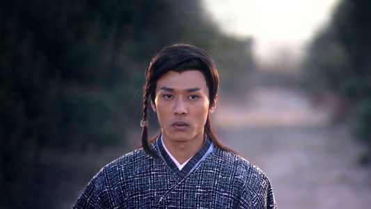 包青天之碧血丹心