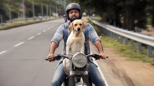 777 ಚಾರ್ಲಿ
