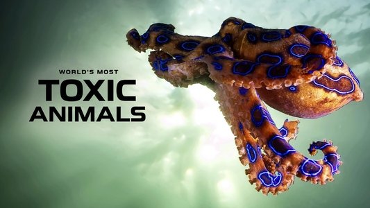 World's Most Toxic Animals