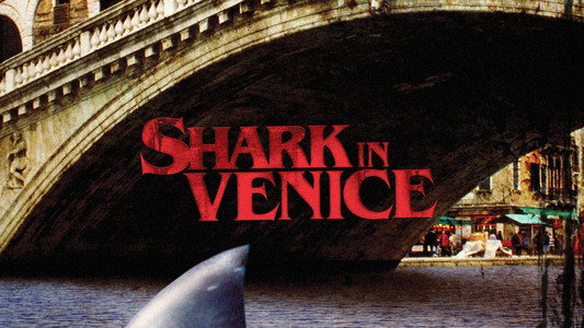 Sharks in Venice