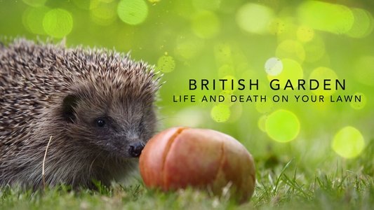 The British Garden: Life and Death on Your Lawn