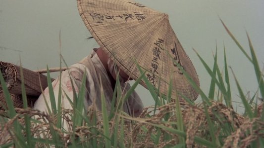 大地の子守歌