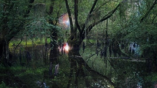 Annihilation