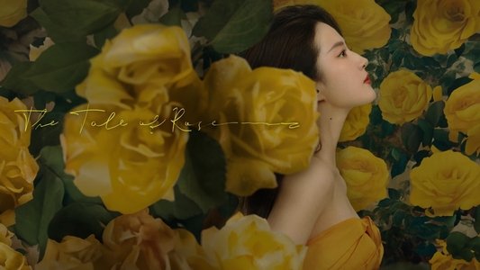 玫瑰的故事