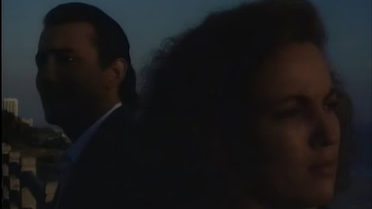 L.A. Takedown