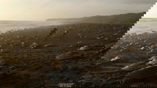 Spectacular Earth