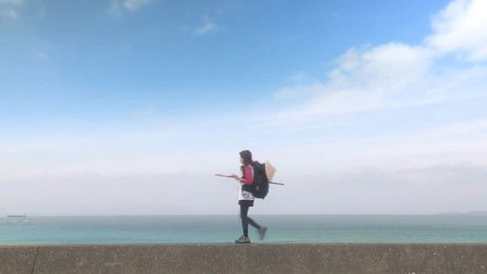 Aruku Aruku Aruku ~Shikoku Henro-michi~ SP