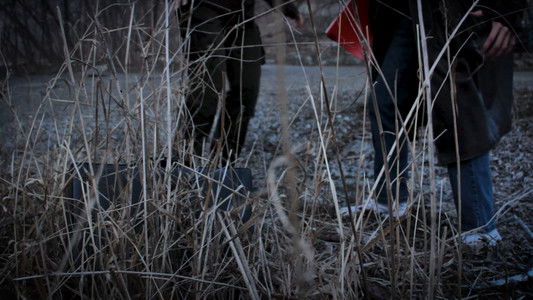 The Mysteriously Mystifying Case of the Embezzlement of Government Funds