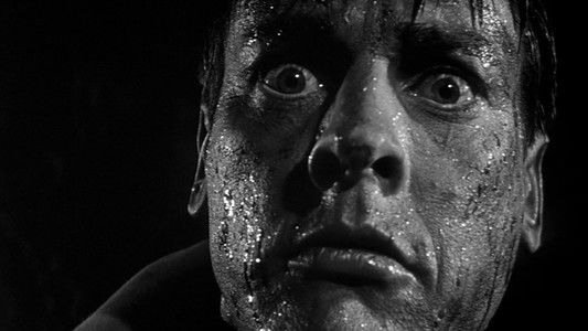 Invasion of the Body Snatchers